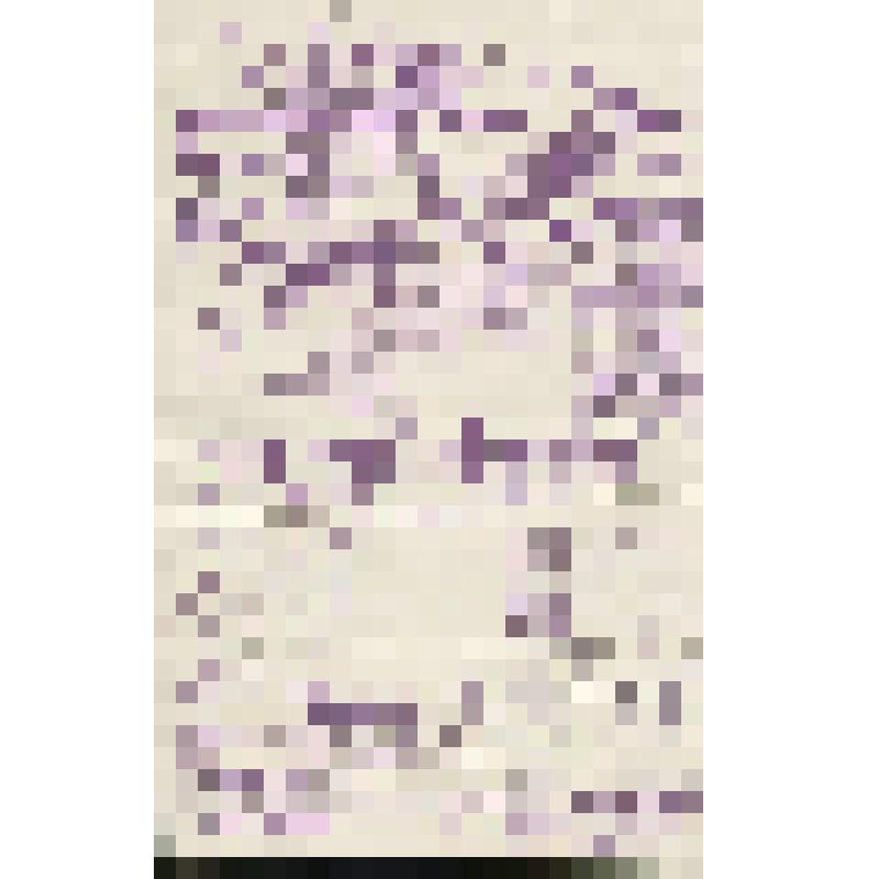 Афиша рукописная. "Виц-мундир"; "По публикации". Алексин; Любители