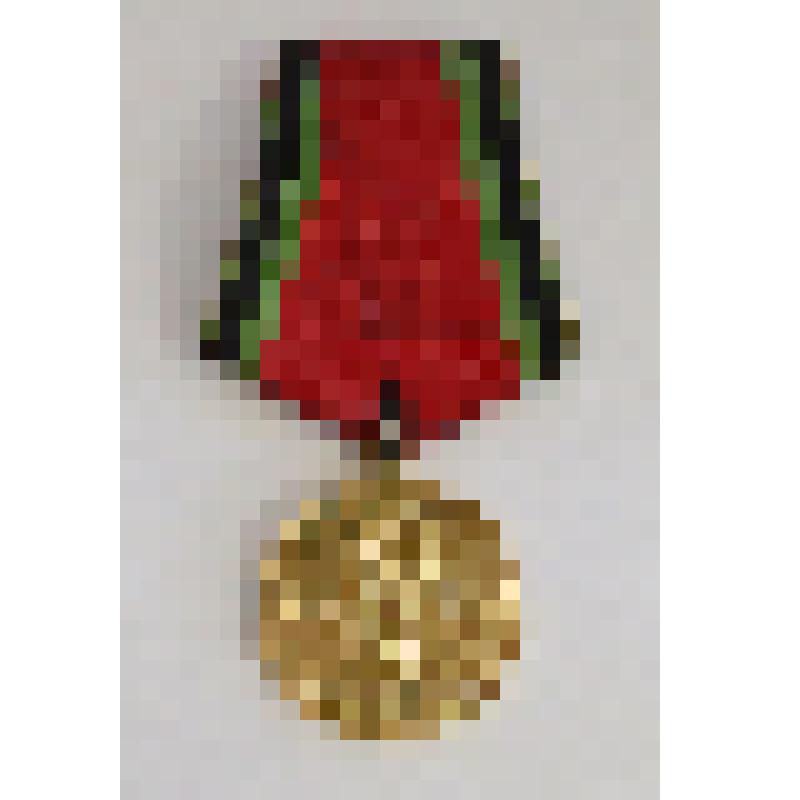 Медаль юбилейная Борисенко Ольги Емельяновны "20 лет Победы в Великой Отечественной войне"