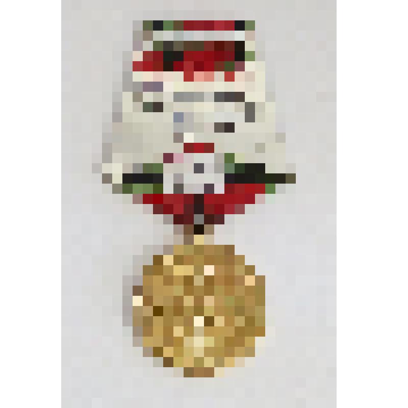 Медаль юбилейная Борисенко Ольги Емельяновны "20 лет Победы в Великой Отечественной войне"