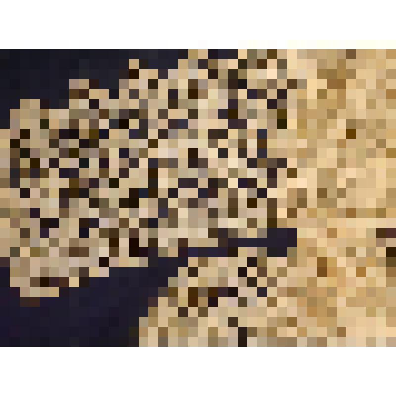 Кайма к подзору для кровати, из коллекции бытовых вещей Мишуковой Зои Николаевны, саратовской учительницы