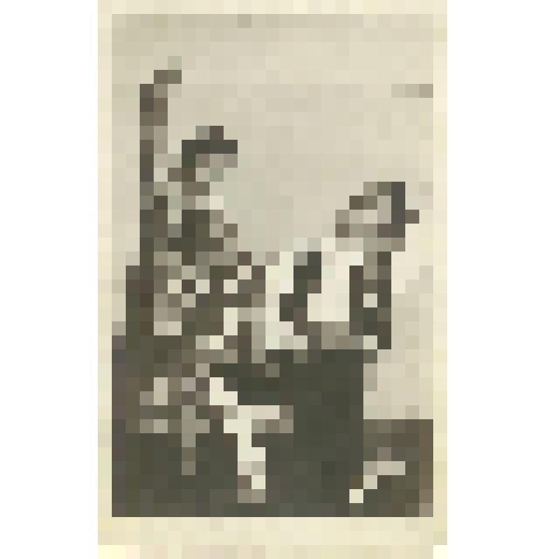 Фотография. Филиппова Евгения Ивановна с партнером. «Кармен»: танец «Фарандола»