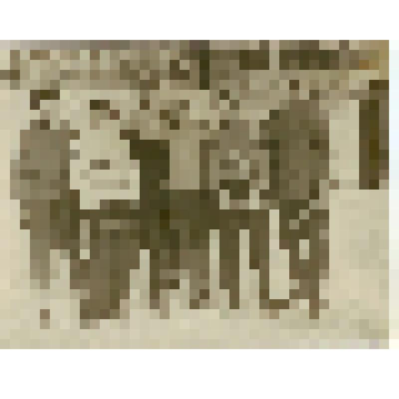 Фотография. Шутова Ливия Васильевна, актриса Саратовского театра драмы им. К. Маркса, на катке стадиона «Динамо», со знакомыми