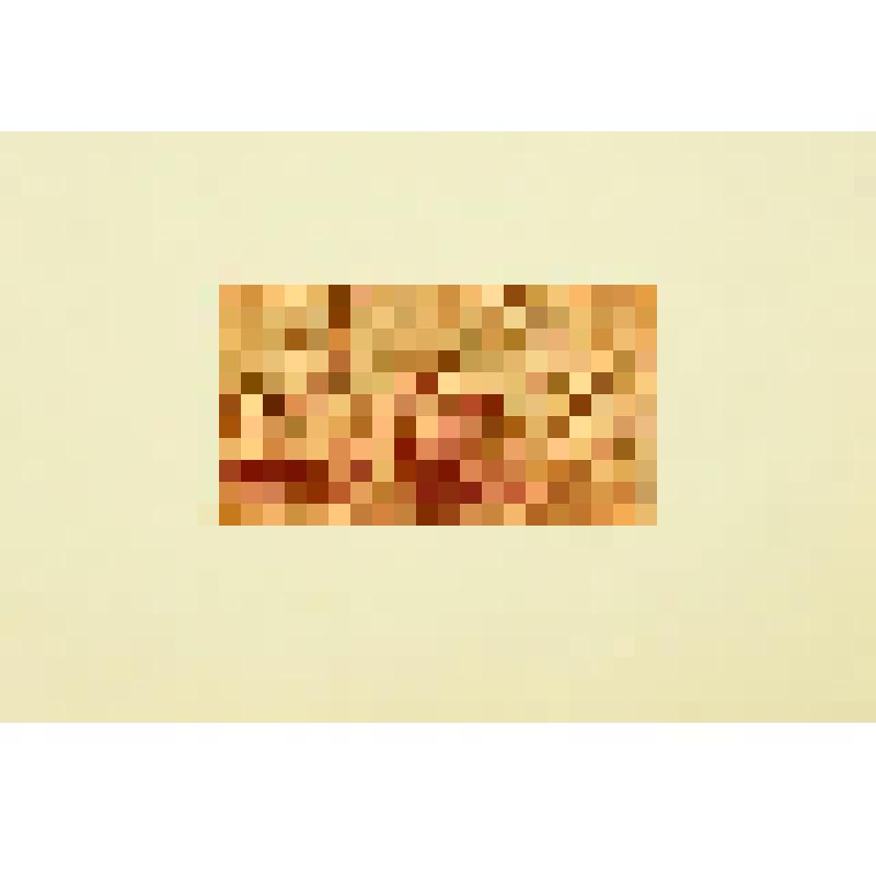 Санаинский рельеф. XIII в. Картина