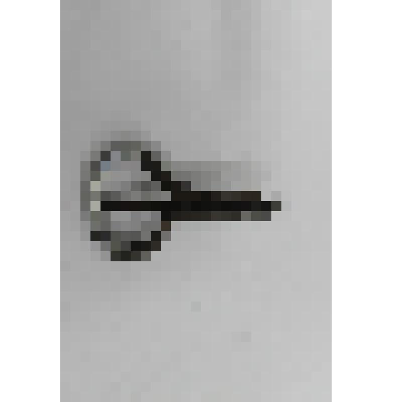 Варган английский