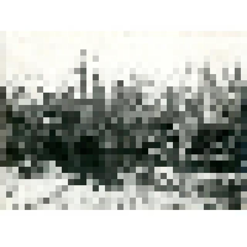 Фотография. Берег смываемого острова на пласе Вилюя