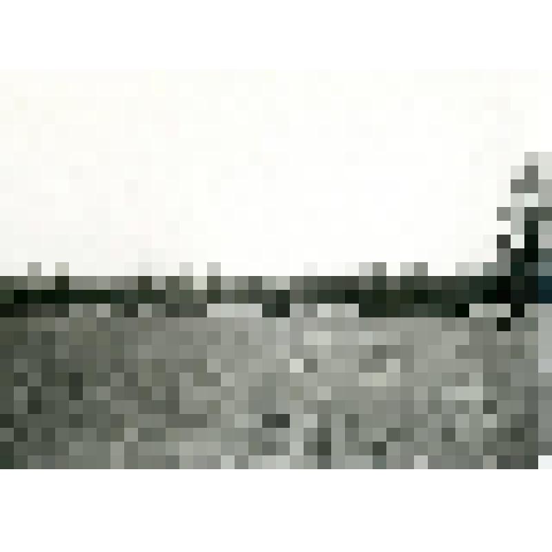 Фотография. Общий вид посевов по смежным участкам в лиственничном лесу вблизи оз. Тюнгюлю по Охотскому тракту