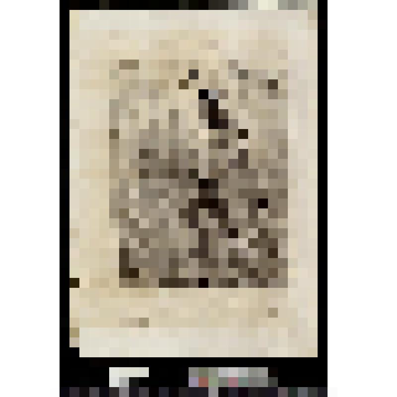 Une victime des factions