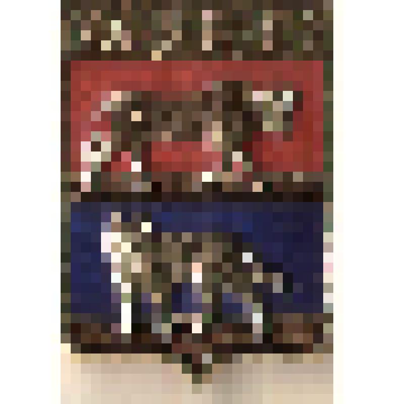 Значок нагрудный с изображением герба г.Волковыска. Из коллекции по теме "Геральдика"