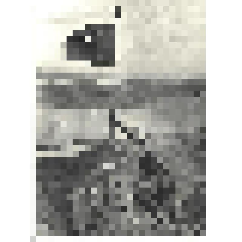 Фотографии. Фото ч/б. Советское знамя на сопке Заозерной у озера Хасан. 1938 г