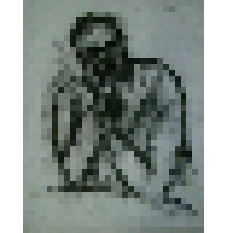 Дмитрий Шостакович