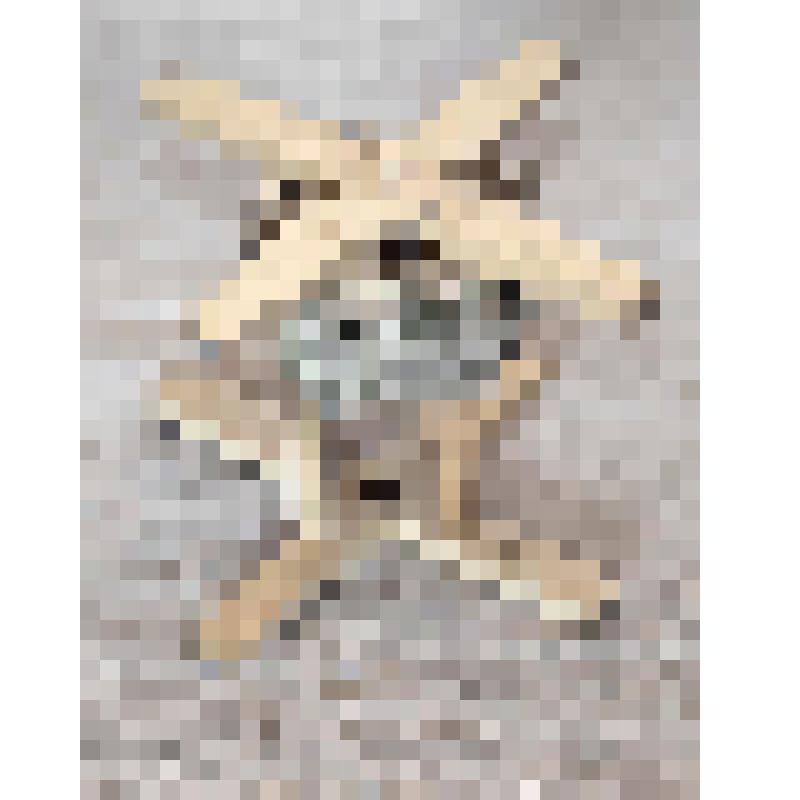 Вьюха для перемотки нитей