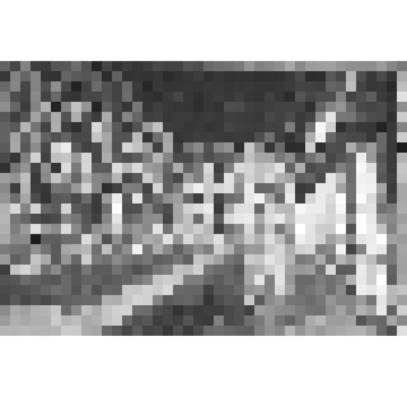 Большой дворец. Танцевальный зал. Общий вид