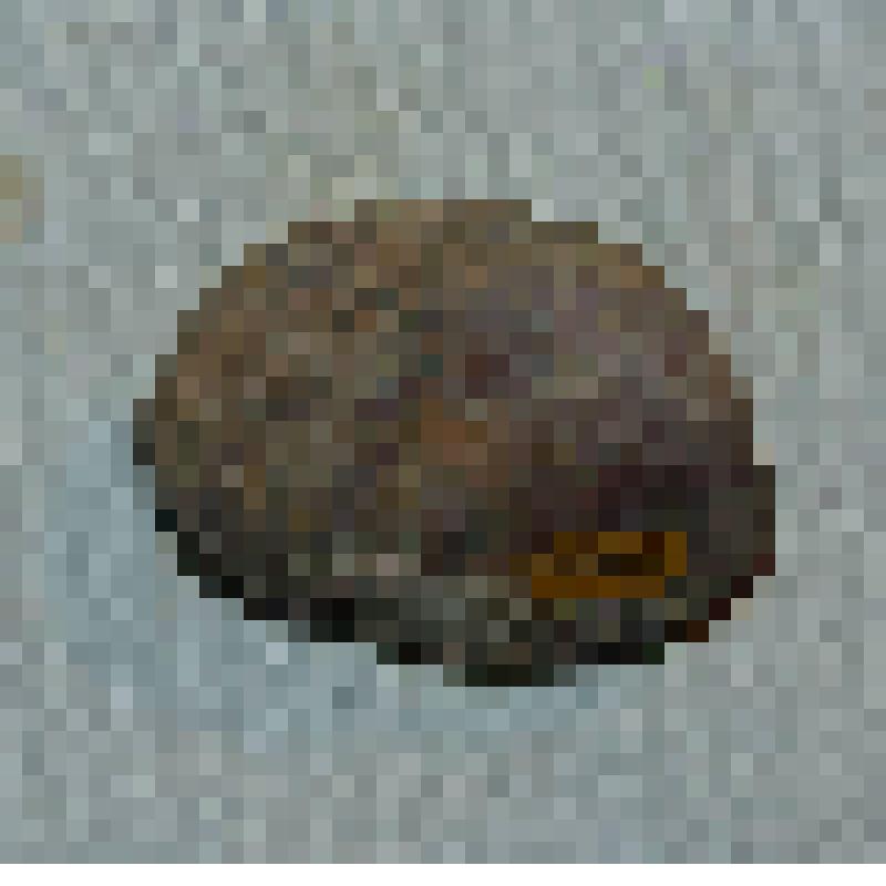 минерал. Кварц. Галька