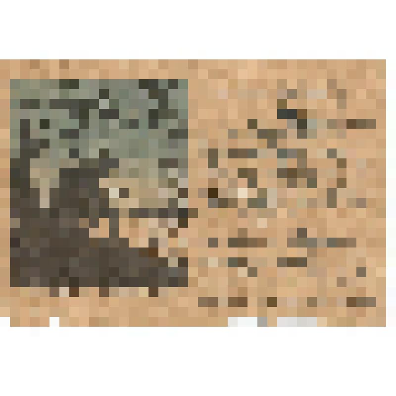 Фронтовое письмо Гаврикова Г.А