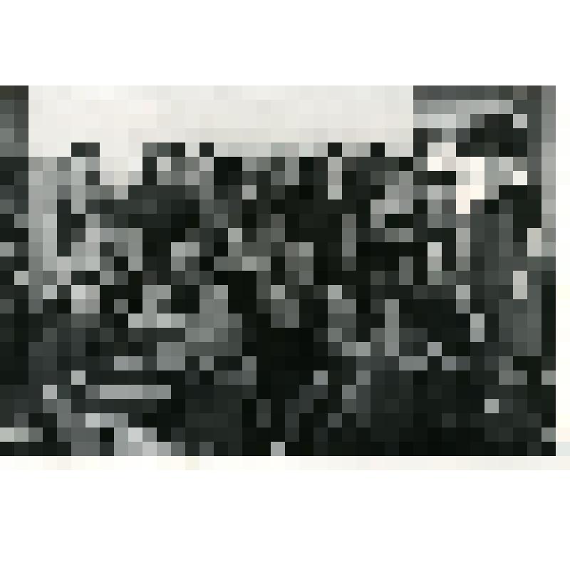 Бригада цеха №5 фабрики "Парижская коммуна"