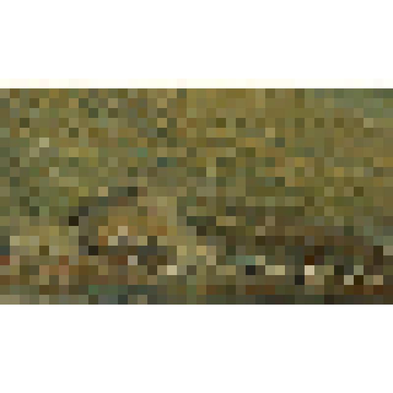 Куры у стога