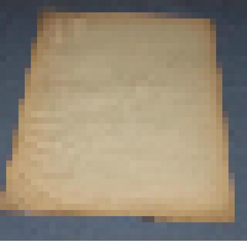 Ботаническая коллекция. Башмачок крапчатый, семейство орхидные, на гербарном листе, ст. Кулумыс, кедрово-пихтовая  тайга. Cypripedium Orchidaceae gyttafum Sw