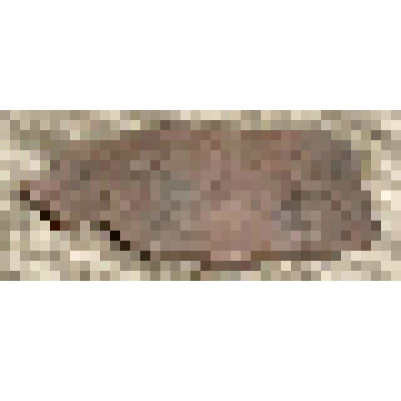 Скребок (фрагмент)