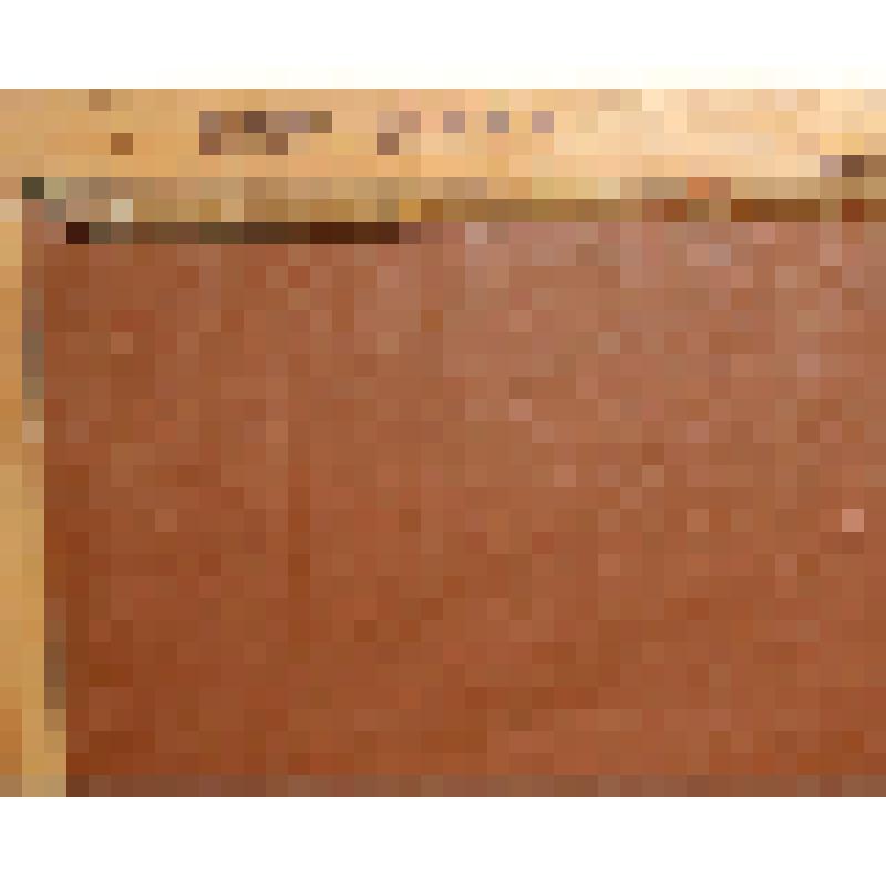 Линогравюра " Старый Брянск"