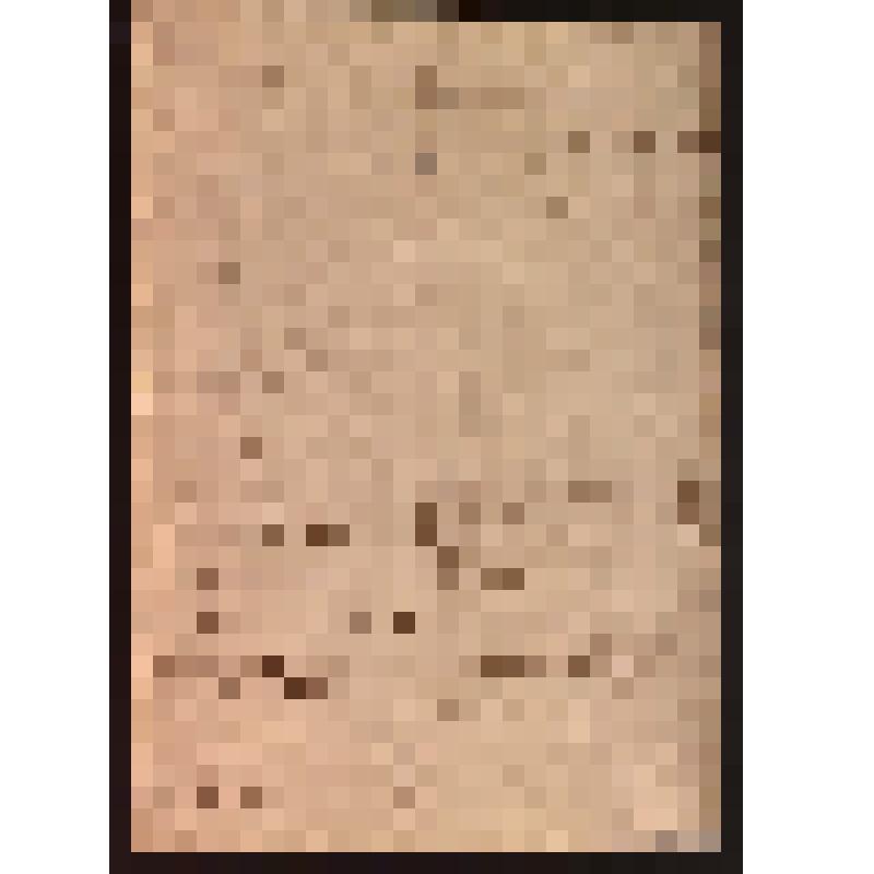 Такса о состоящих при Нижнетагильском заводе железу, стали и железным вещам ценах.
На 2-х листах. Выполнено на бумаге с водяными знаками