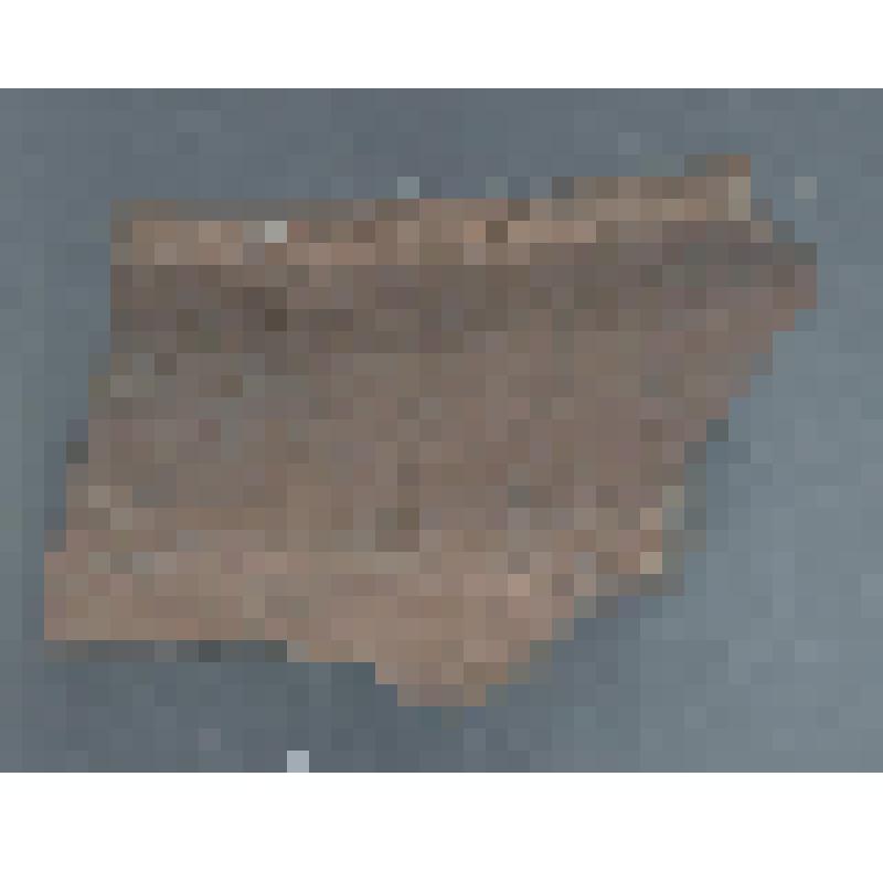 Сосуда красноглиняного венчика фрагмент