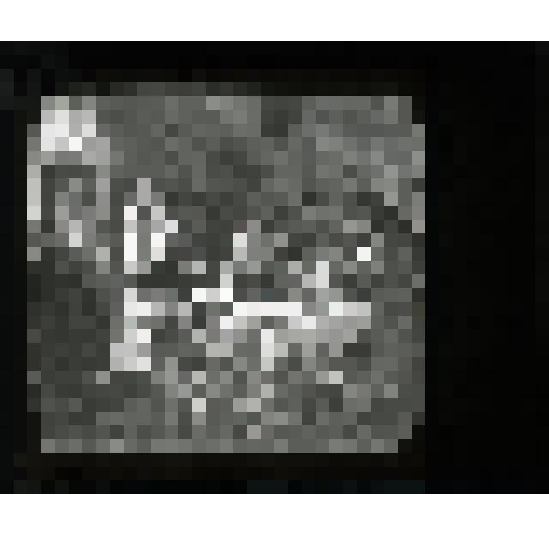 Диапозитив стеклянный черно-белый: патриарх Никон в светлом церковном облачении выступает на Соборе