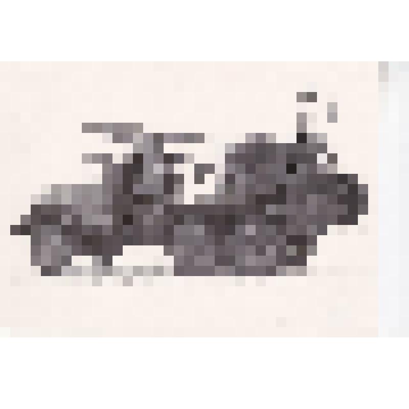 Фотография.
ЗИЛ-131 с прицепом  ГКБ 9335 (5т роспуск),
для перевозки хлыстов (27м)