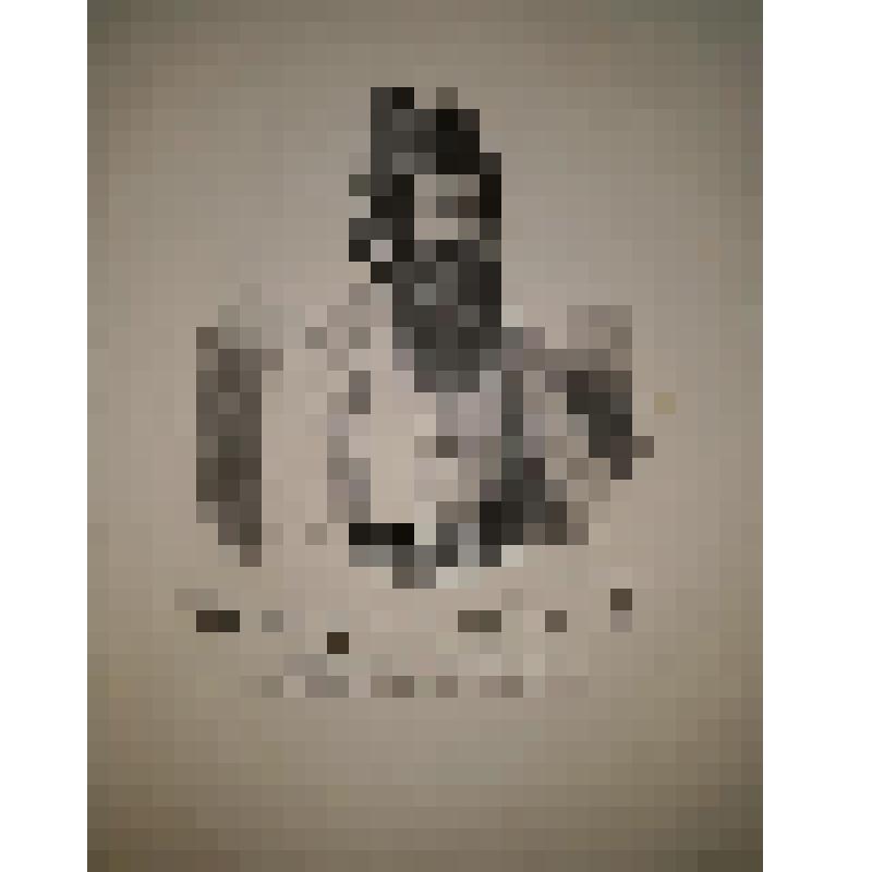 Портрет. Эмир-Низама Магмет Хан, начальник регулярных войск Персидских