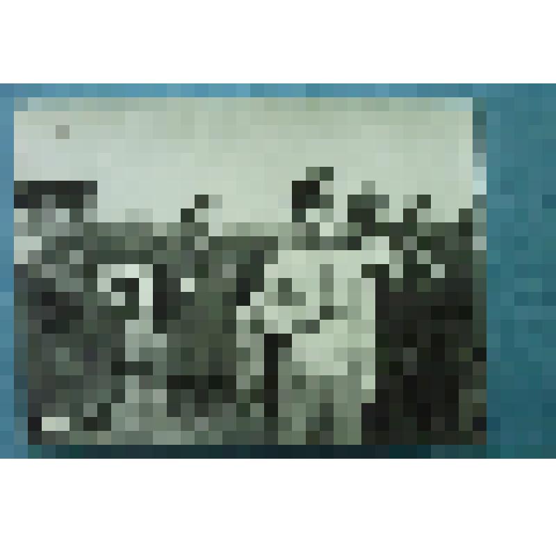 Фотография групповая