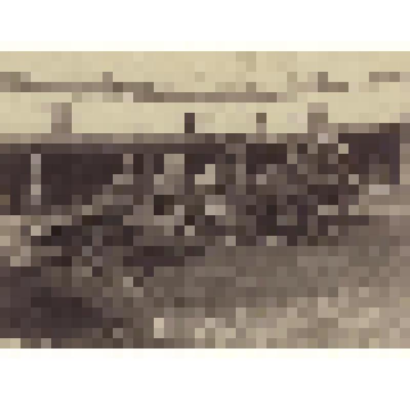 Фотография ч/б. Почтовые экипажи Казанской станции вольных почт Почтсодержателей Михайловых (с 1849 по 1898 г.). Бричка и одноколенная подвода для клади