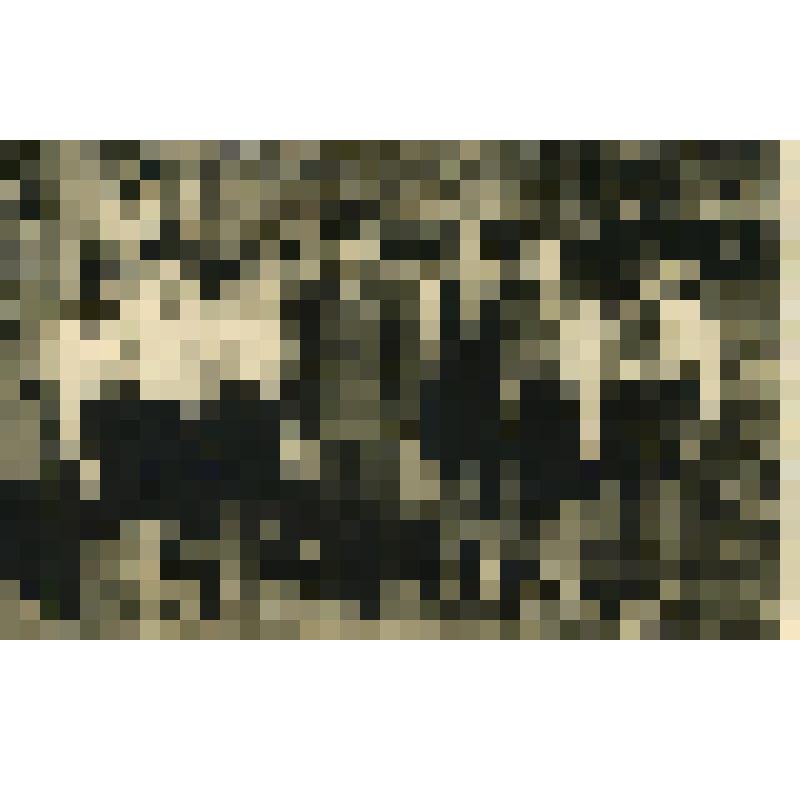 Фотография групповая