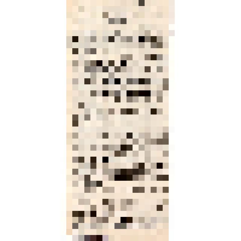 К немецким солдатам! Товарищи! "Почти 4 года бушует мировая война:"