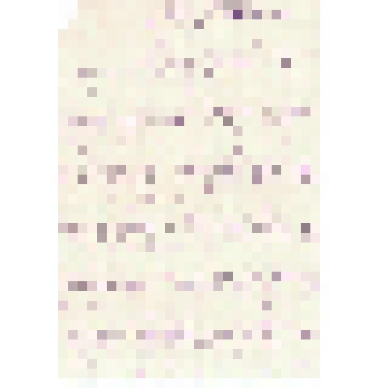 Письмо, адресованное М.М. Костеловской