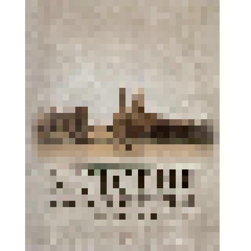 Книга. "История Екатеринбургской епархии". Издательство «Сократ». 2010 год