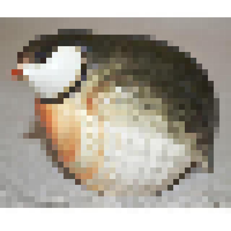 Скульптура (статуэтка) фарфоровая. Каменная куропатка