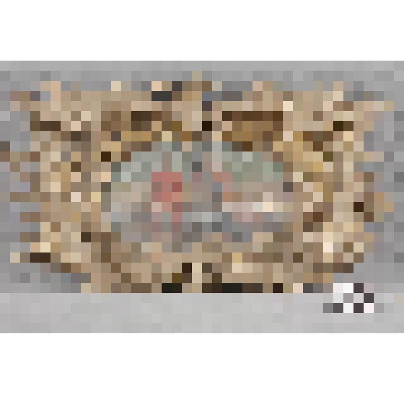 Картуш с клеймом "Притча о сучке и бревне"