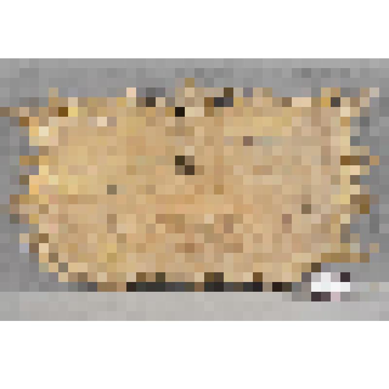 Картуш с клеймом "Притча о сучке и бревне"