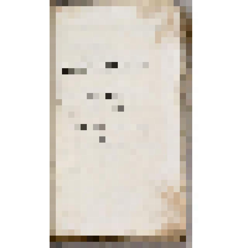 Книга. Conversations-Lexikon der Gegenwart. In vier Banden. Vierten Bandes Erste Abt