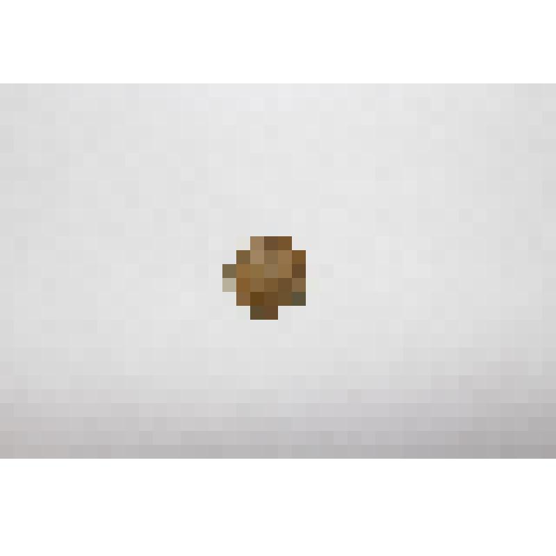 Монета 1 копейка. СССР. 1928 г