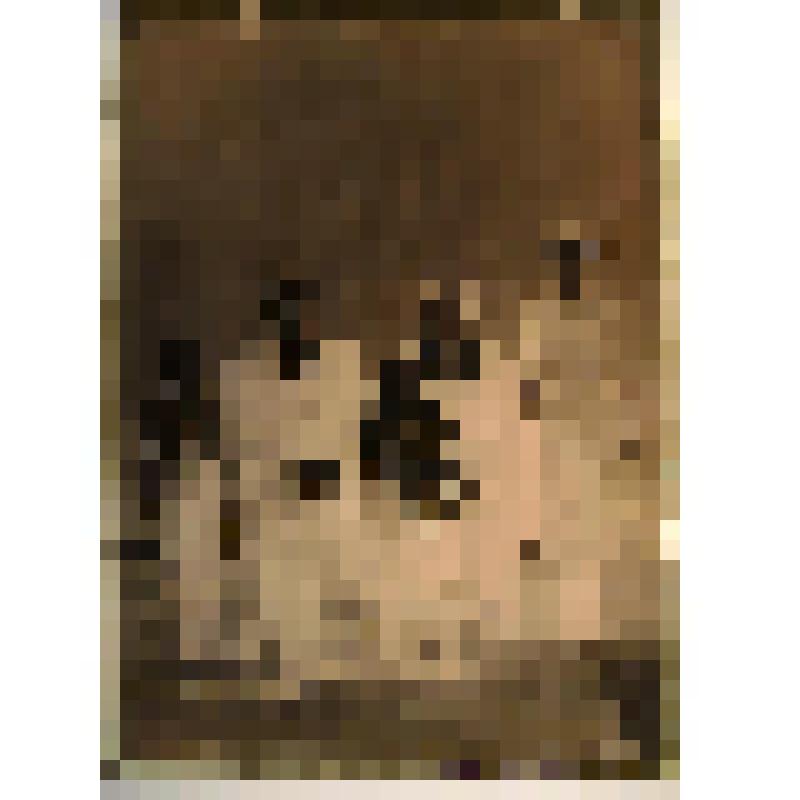 Негатив. Портрет семейный с тремя детьми