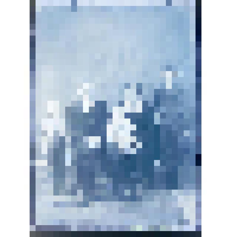 Негатив. Портрет семейный с тремя детьми