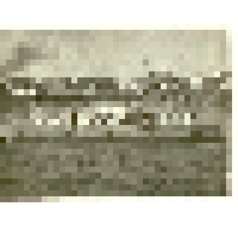 Фотография. Здание спасательной станции Саратовского порта, из коллекции материалов о Полущеве Вадиме Федоровиче, велосипедисте, яхтсмене