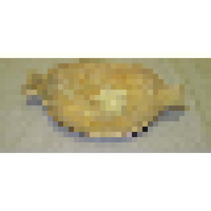 "Ночевка" для катания теста