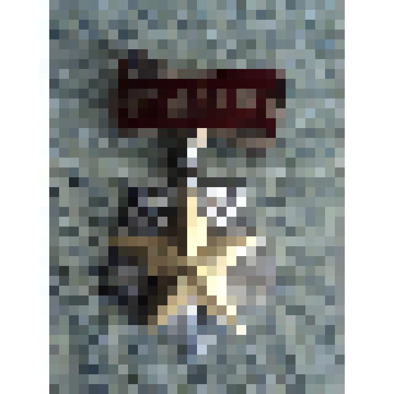 Орден " Мать- героиня"