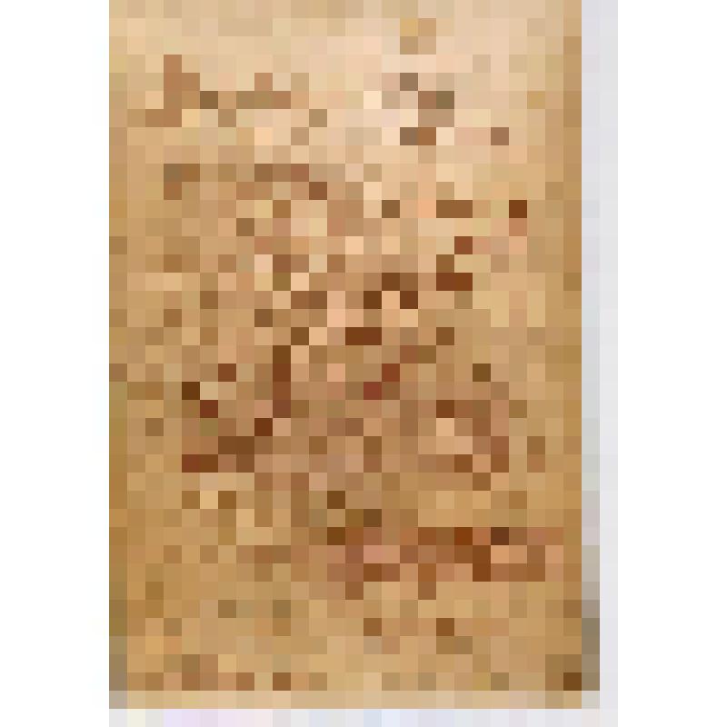 Фотография. Попов А.С., друг Д.И.Менделеева