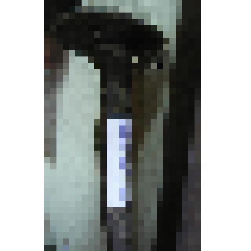 Штырь кованый