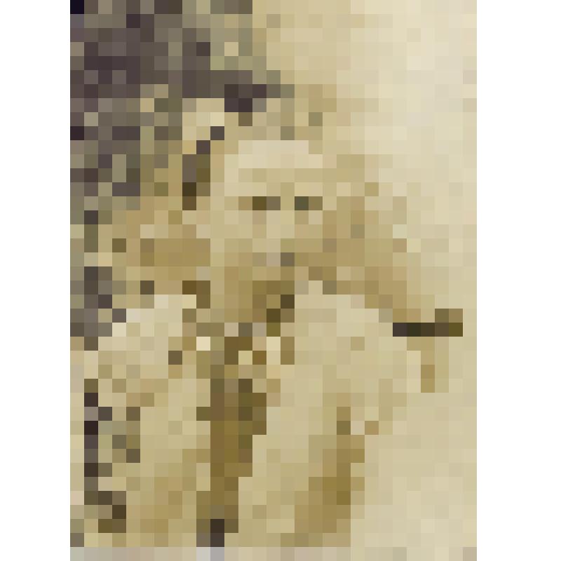 Фотоотпечаток. Портрет девушки 16 лет. Украинцы