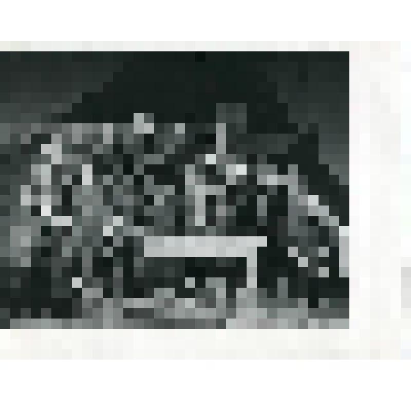 Фотография. Сцена из спектакля. Девять бойцов, в центре, на столе стоит боец с баяном. "Василий Теркин" (пост. Д. Утикеев, худ. А. Шелковников, дир. Л. Ковалев.). Петрозаводск (Республика Карелия), Музыкальный театр