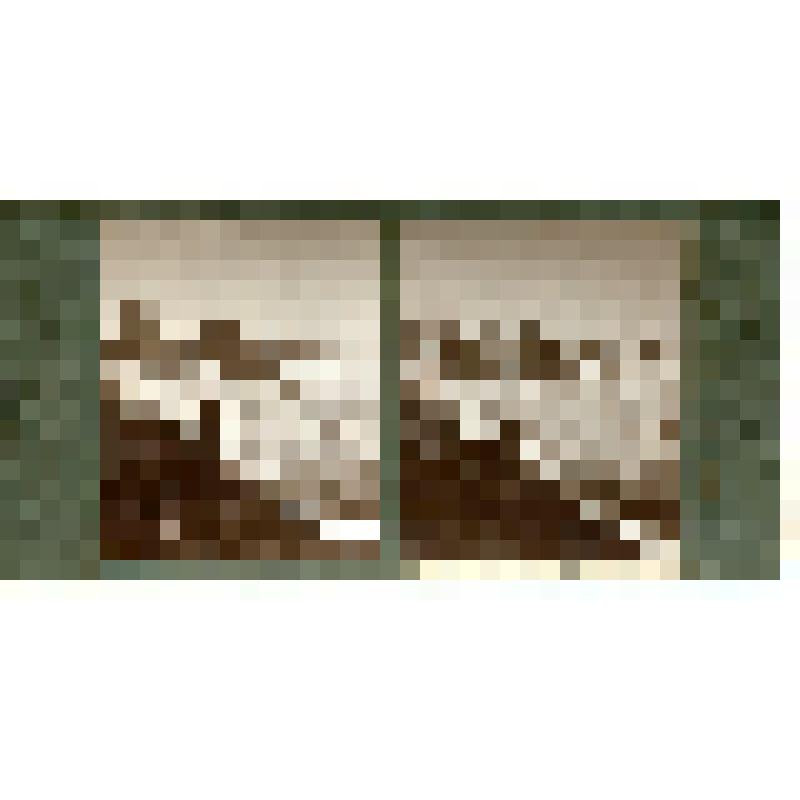 Карточка для стереоскопа «Вид с перевала Чипер-Азау на ледники южного склона Кавказского хребта (верховье р. Ненскры в Сванетии)». Из коллекции «Кавказ» с видами природы Западного Кавказа, серии 3-№19. Фото Н.Л. Минервина