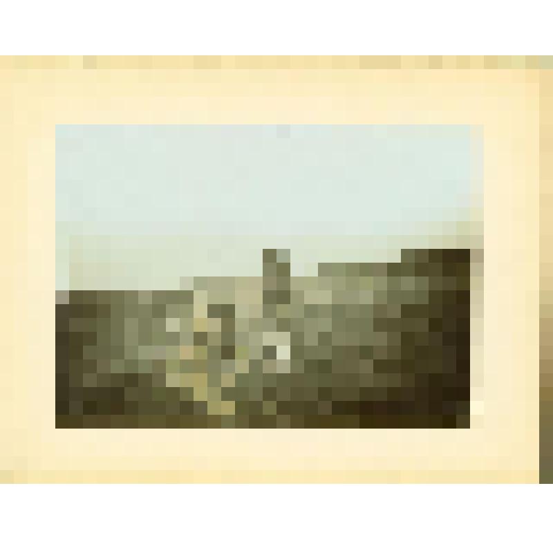 Фотография. Вторая ветеринарная экспедиция на полуостров Ямал. Взятие проб земли под трупом оленя